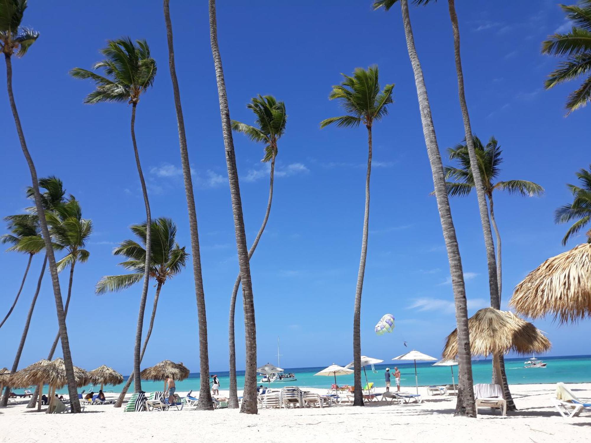 La Flor Del Caribe Beach & Spa プンタ・カナ 部屋 写真