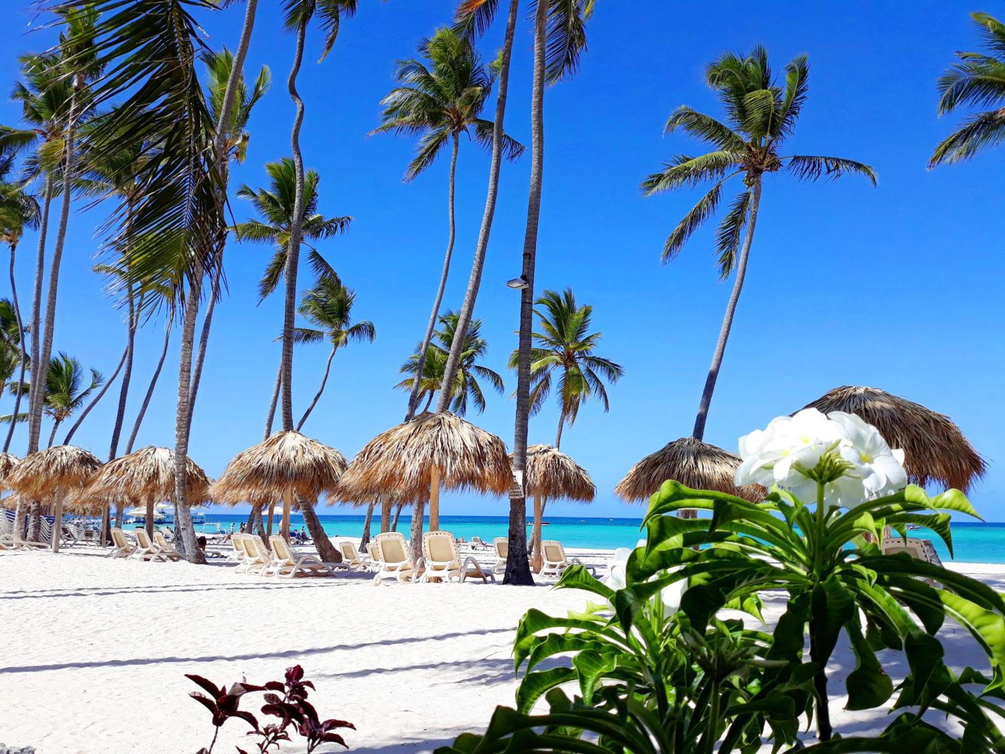 La Flor Del Caribe Beach & Spa プンタ・カナ 部屋 写真